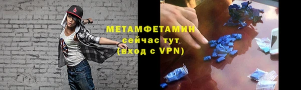 прущие грибы Зеленокумск