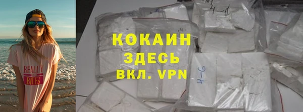 прущие грибы Зеленокумск