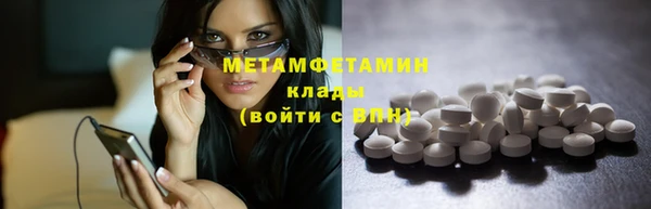 прущие грибы Зеленокумск