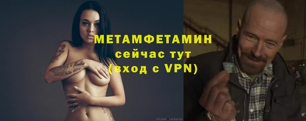 прущие грибы Зеленокумск