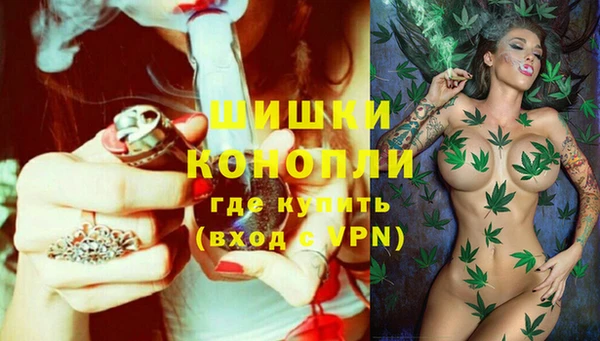 прущие грибы Зеленокумск