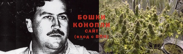 прущие грибы Зеленокумск