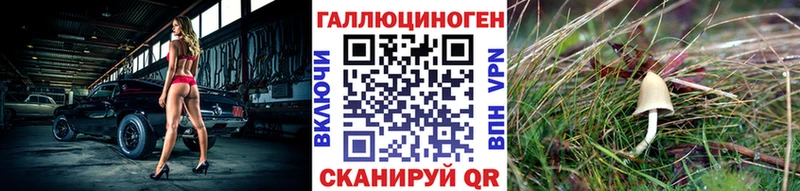 Купить закладки  Морозовск  Псилоцибиновые грибы MAGIC MUSHROOMS 