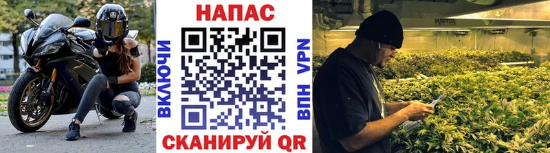 Купить где  Морозовск  Каннабис VHQ 